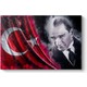 Seçili Renk Renkli