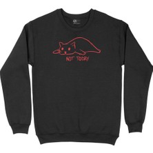 Cix Not Today Kedicik Siyah Sweatshirt