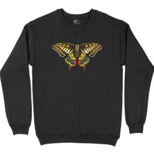 Cix Renkli Kelebek Siyah Sweatshirt