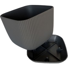 1.8lt 15X15X13 cm Dekoratif Mercan Desenli Tabaklı Mat Plastik Saksı No3