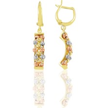 Söğütlü Silver Gümüş Altın Yaldızlı Rodaj ve Rose Renkli Dorissa Dorica Küpe