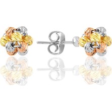 Söğütlü Silver Gümüş Altın Yaldızlı Rodaj ve Rose Renkli Dorissa Dorica Top Küpe