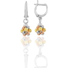 Söğütlü Silver Gümüş Altın Yaldızlı Rodaj ve Rose Renkli Dorissa Dorica Top Küpe