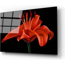Aras Glass Art Çiçek 3 Cam Tablo