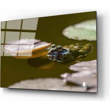 Aras Glass Art Kurbağa Cam Tablo