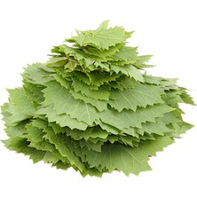 Sebze Meyve Dünyası Yaprak Asma Taze (500 gr)