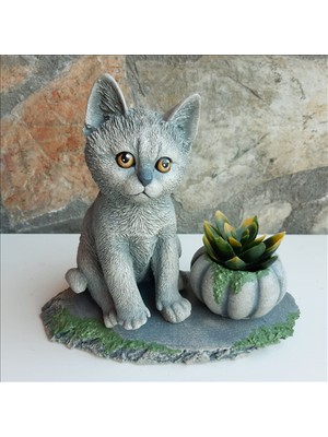 Bulut Kedili Kabak
 Set Gri