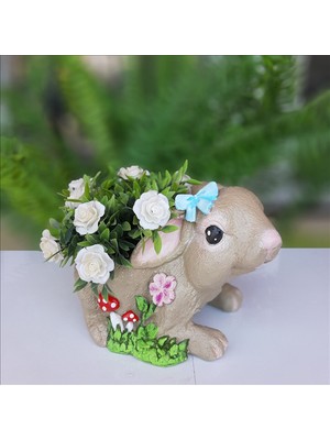 Bulut Duman Tavşan Saksı