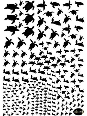 Sultan Tasarım Epoksi Resin Reçine Deniz Kaplumbağası Figürü Şeffaf Yapışkanlı A4 Boyutunda Sticker Etiket