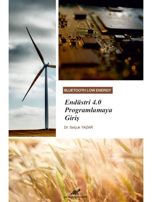 Paradigma Akademi Yayınları Endüstri 4.0 Programlamaya Giriş