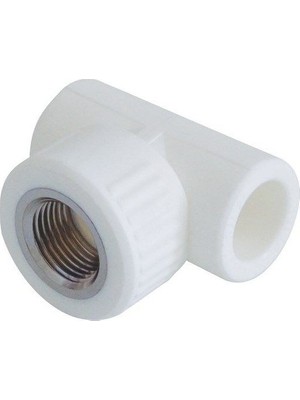 Pprc Dişi Te 20*1/2*20