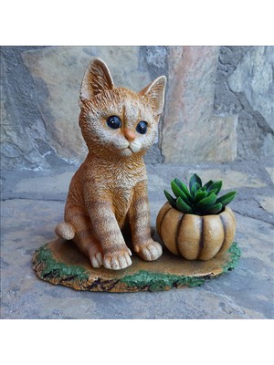 Bulut Kedili Kabak Set