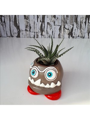 Bulut Sevimli Canavar Saksı Vizon
