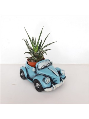 Bulut Vosvos 
saksı Mavi