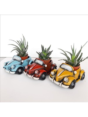 Bulut Vosvos Saksı Üçlü Set Sarı-Mavi-Bordo