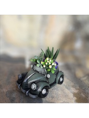 Bulut Vosvos Saksı yeşil