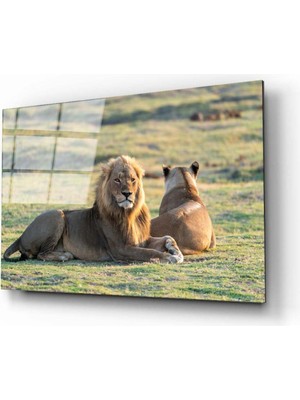 Aras Glass Art Aslan 3 Cam Tablo