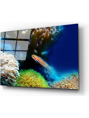 Aras Glass Art Balık Cam Tablo