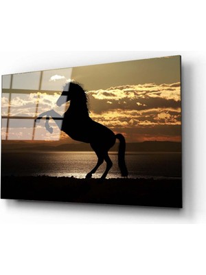 Aras Glass Art At Cam Tablo