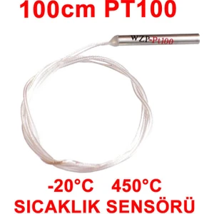 PT100 Platinyum Isı Sıcaklık Sensörü 100cm Su Geçirmez -200C to 450C Metal Koruyucu Dalgıç Prob Term