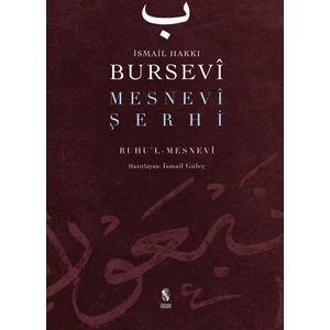 Mesnevi Şerhi - İsmail Hakkı Bursevi