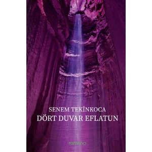 Dört Duvar Eflatun - Senem Tekinkoca
