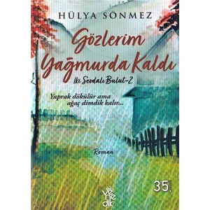 Gözlerim Yağmurda Kaldı - Hülya Sönmez