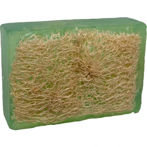 Anatolia Soap  El Yapımı Doğal Kabak Lifli&nbsp;aleo Vera Sabunu 110 gr