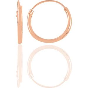 Söğütlü Silver  925 Ayar Gümüş Mini Rose Halka Küpe