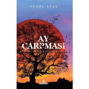 Ay Çarpması - Yücel Ataç