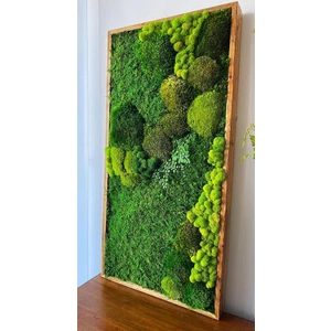 Archimoss Design Mumyalanmış Büyük Mix Tablo