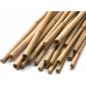Bambu Bitki Destek Çubuğu