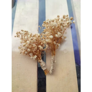 Atölye Letafet Kuru Cipso Yaka Çiçeği