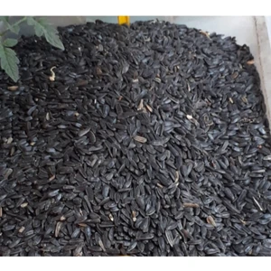 By Tuna Kuruyemiş Papağan Siyah Çekirdek Yemi Kuş Yemi 1 kg