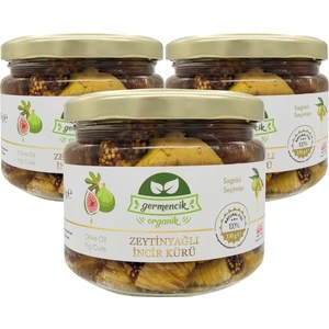 Germencik Organik Zeytinyağlı Incir Kürü 330 gr x 3