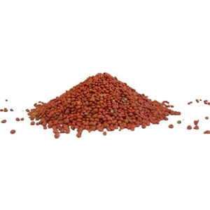 Küçük Çiftlik Matadorr Ispanak Tohumu 1000 gr