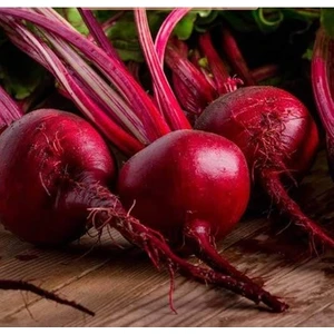 150 Adet Tohum Çok Faydalı Kırmızı Pancar Tohum Kırmızı Pancar Tohumu Yeni Sezon