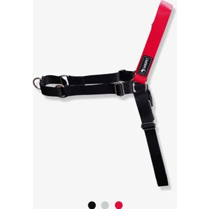 Draco Easy Walk Önden Çekmeli Göğüs Tasması Small