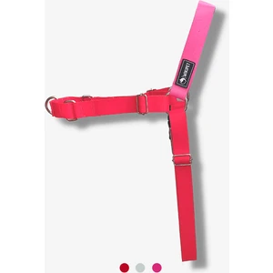 Lyra Easy Walk Önden Çekmeli Göğüs Tasması Small