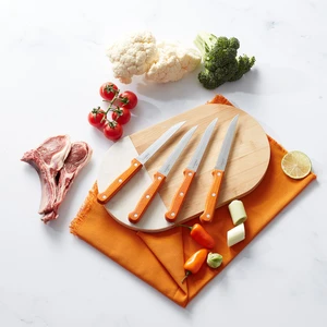Angle Steak 4 Parça Bıçak Seti