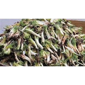 Sebze Meyve Dünyası Taze Kenger(Selbin ) (1 Kg)