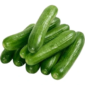 Sebze Meyve Dünyası Salatalık Slor Badem (1 Kg)