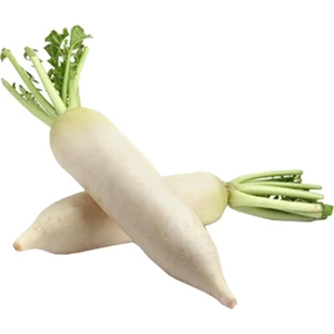 Sebze Meyve Dünyası Japon Turp ( 2  kg )
