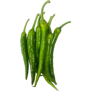 Sebze Meyve Dünyası Tatlı Biber (500 gr )