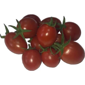 Sebze Meyve Dünyası Şeker Domates (Santalin) (500 gr )