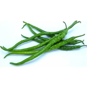 Sebze Meyve Dünyası Tatlı Kıl Biber (500 gr )