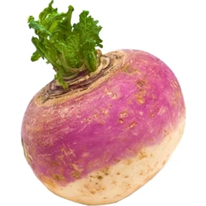 Sebze Meyve Dünyası Şalgam Turp (1 Kg)