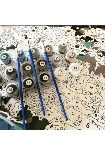Lily Hobbyland Sayılarla Boyama Çerçeveli Tuval Seti 40 x 50 cm - Galata Rüyası