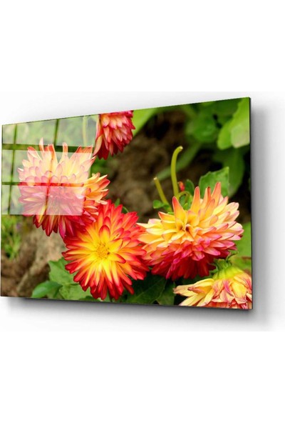 Aras Glass Art Çiçek 2 Cam Tablo