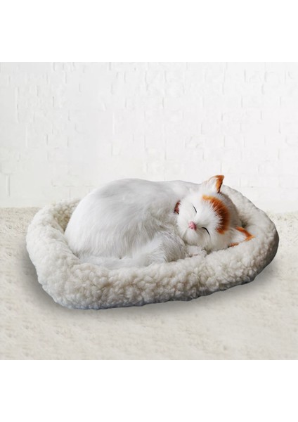 Uyuyan Kedi Peluş Aksesuar - Beyaz (Yurt Dışından) modelleri